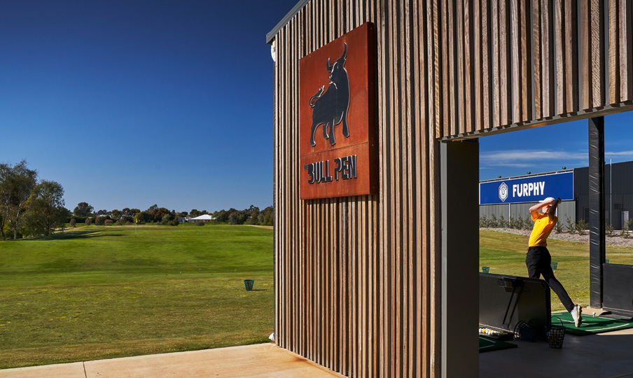 Black Bull Bull Pen
